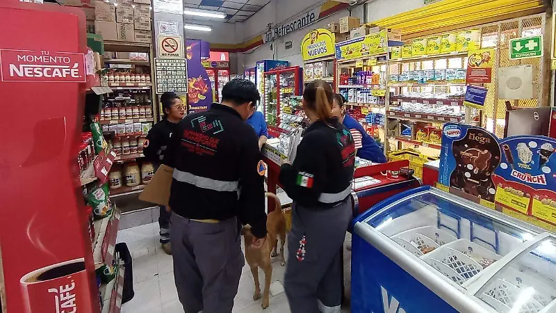 Protección Civil